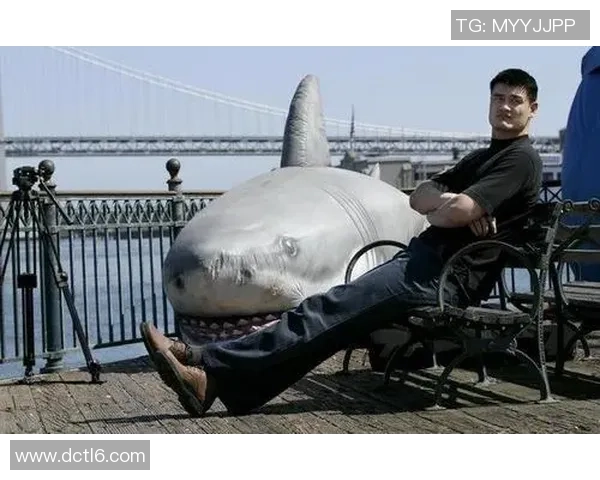 姚明与鱼翅的故事在倒放中揭示的珍贵文化与生态思考 姚明与鱼翅的故事在倒放中揭示的珍贵文化与生态思考