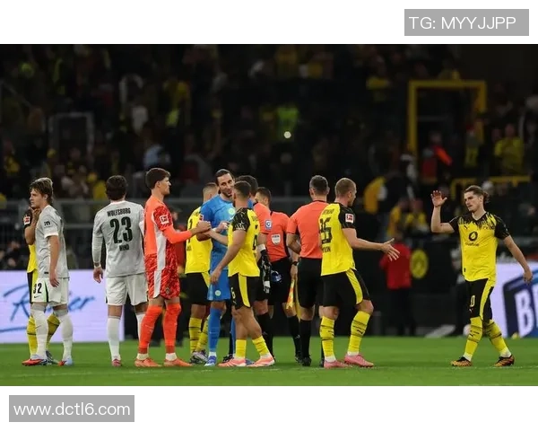 意甲激战：多特蒙德逆转拜仁绝杀瞬间引发全场狂欢数据深度分析